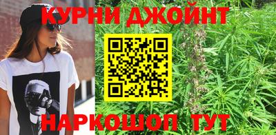 МДПВ Долгопрудный
