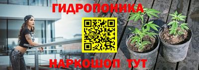 МДПВ Долгопрудный