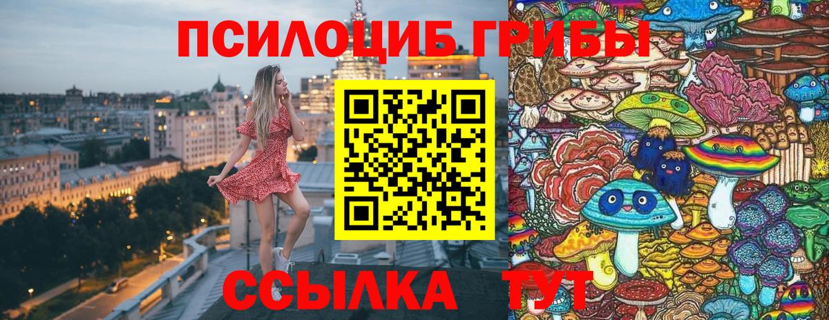 Псилоцибиновые грибы Psilocybine cubensis Кольчугино