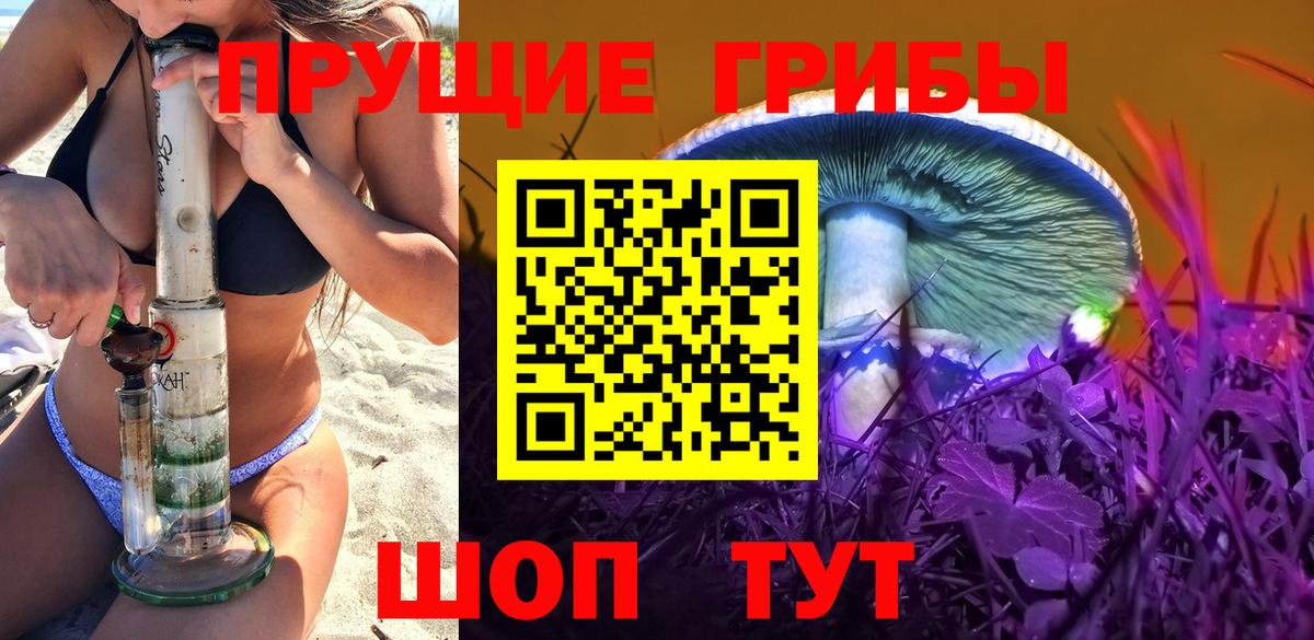 Галлюциногенные грибы прущие грибы  где купить наркотик  Кольчугино  Вход с VPN 